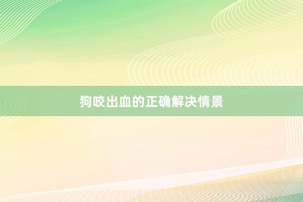 狗咬出血的正确解决情景