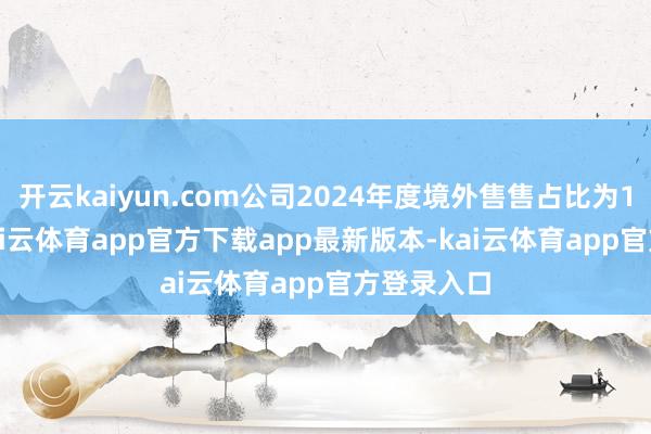 开云kaiyun.com公司2024年度境外售售占比为12.93%-kai云体育app官方下载app最新版本-kai云体育app官方登录入口