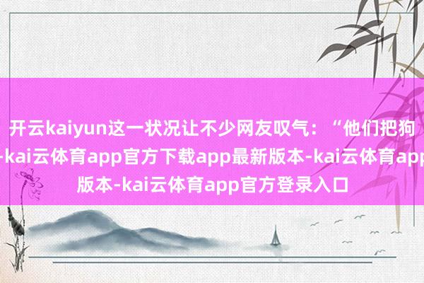 开云kaiyun这一状况让不少网友叹气：“他们把狗视作者庭一员-kai云体育app官方下载app最新版本-kai云体育app官方登录入口