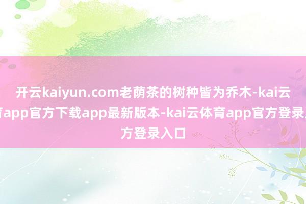 开云kaiyun.com老荫茶的树种皆为乔木-kai云体育app官方下载app最新版本-kai云体育app官方登录入口